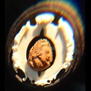 Ein bearbeiteter Kirschkern